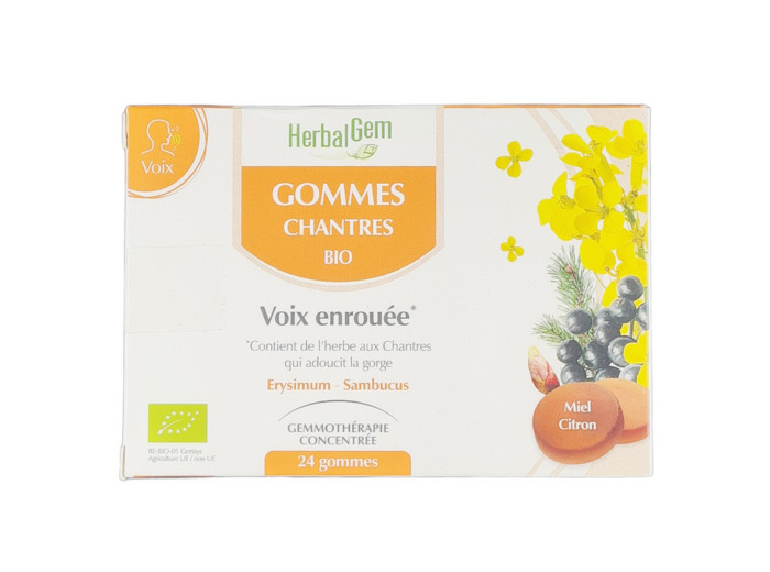 Gommes Chantres Bio Voix enrouée 24 Gommes