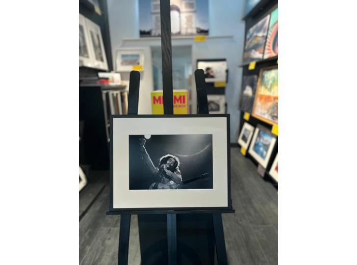 Raised Fist - Peter Hankfield