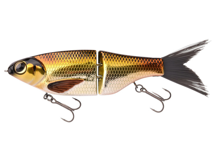 KGB chad shad 180 golden shiner