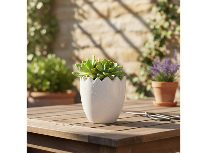 Pot fleurs coquille d'œuf céramique blanc 7x8cm
