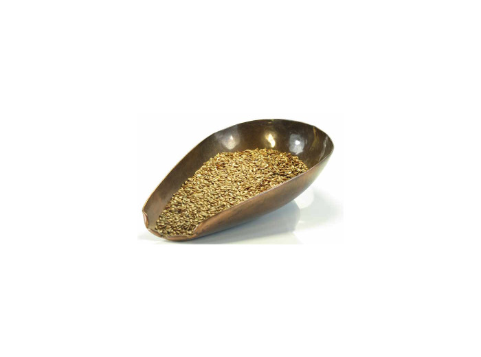 Graine de lin Bio triée 100gr