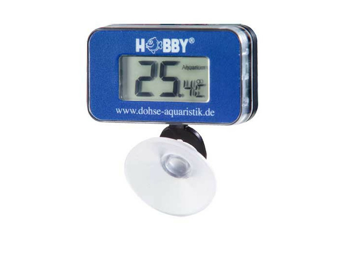 Thermomètre numérique