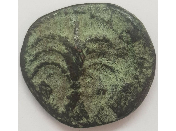 CARTHAGE (ZEUGITANE) 350-320 AVANT J.C SHEKEL DE BRONZE 5gr61