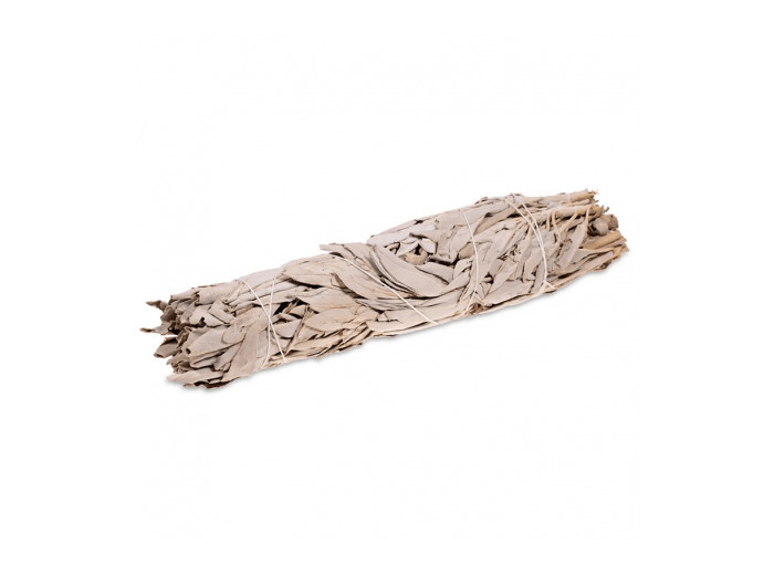 Bâtonnet de sauge blanche (20cm)