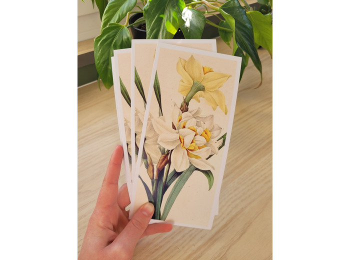 Carte fleur de naissance - Mars