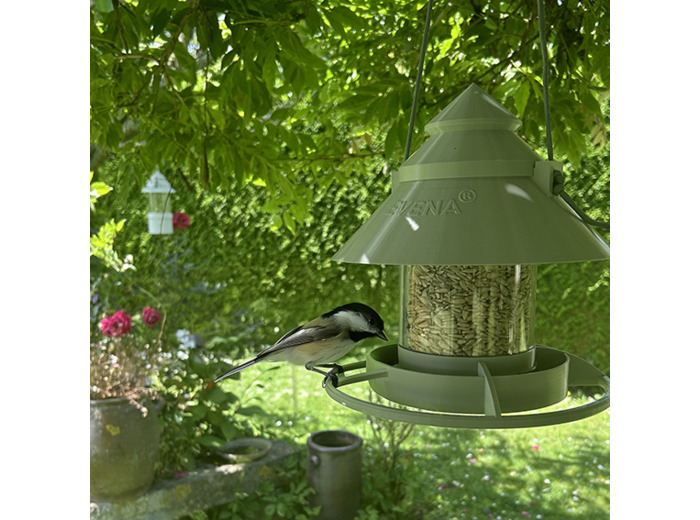 Mangeoire/Distributeur pour oiseaux Céleste à Suspendre