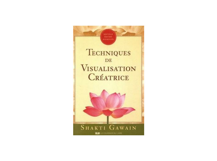 Techniques de Visualisation Créatrice