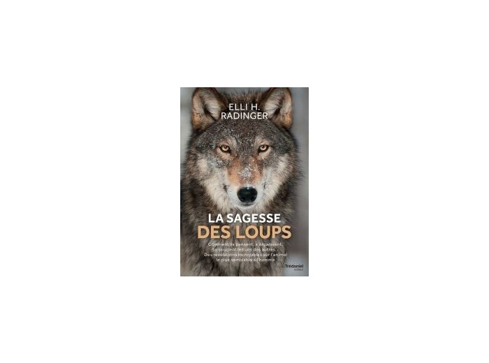 La sagesse des loups