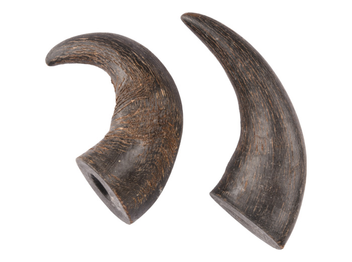 Corne de buffle pour chien FLAMINGO