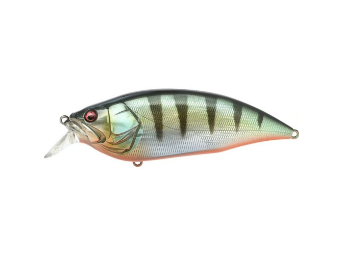 big M 2.0 GG red fin perch