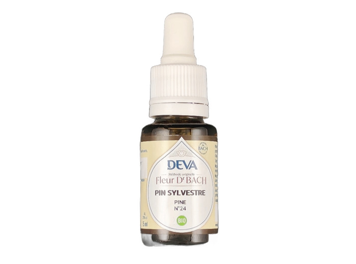 Pin Sylvestre n°24 15ml