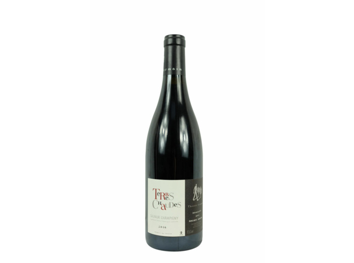 DOMAINE DES ROCHES NEUVES, Terres Chaudes, 2019