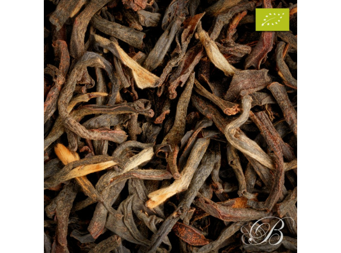 Assam Jamguri Bio F.T.G.F.O.P.1