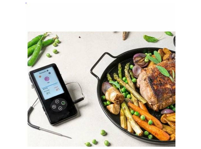 THERMO - SONDE M CLASSIC 2