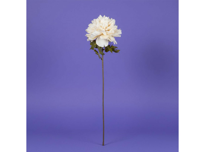Fleur Proteace Blanc Polyester 84cm