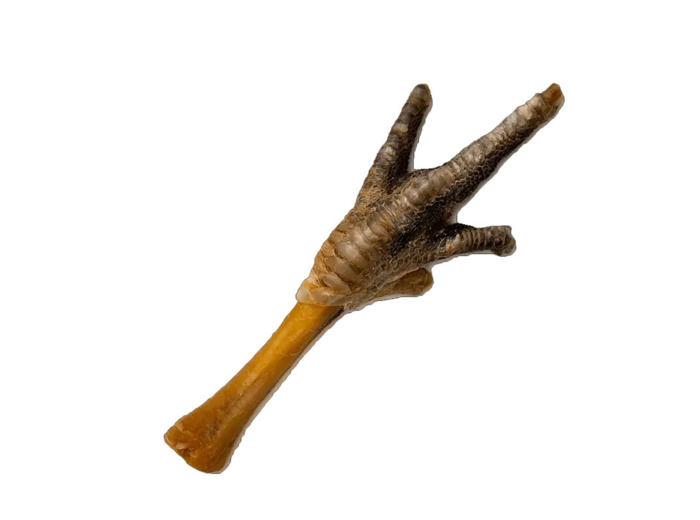 Patte de dinde, pour chiens