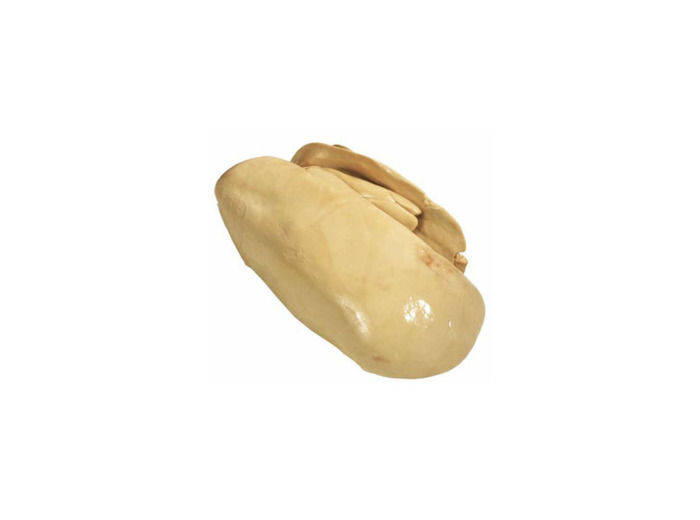 FOIE GRAS CANARD EXTRA EVEINE SURGELE