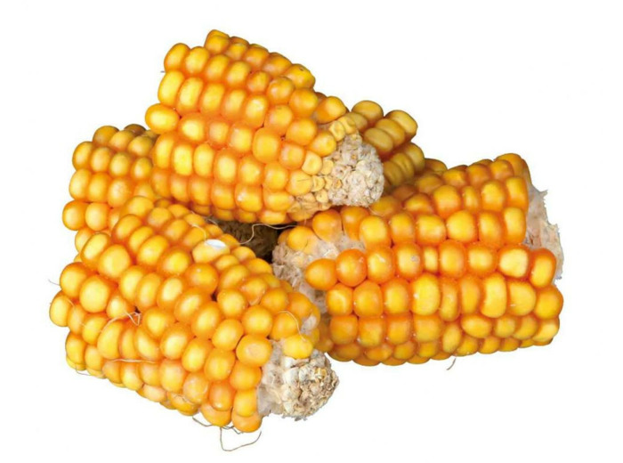 Morceaux épis de maïs - 300g