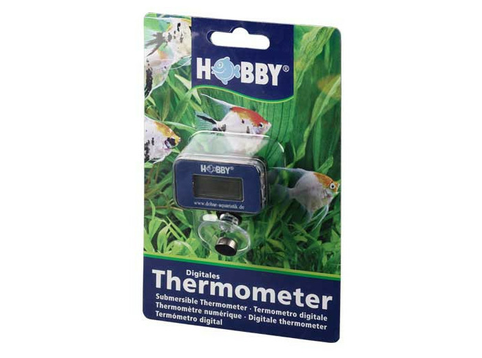 Thermomètre numérique