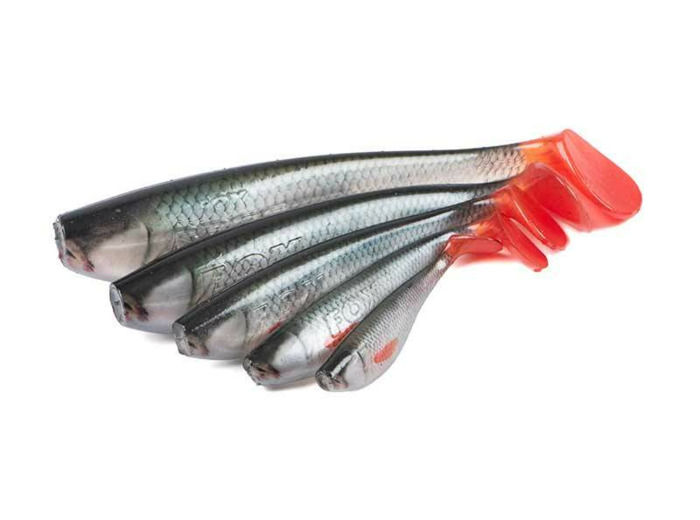 zander natural roach fox rage