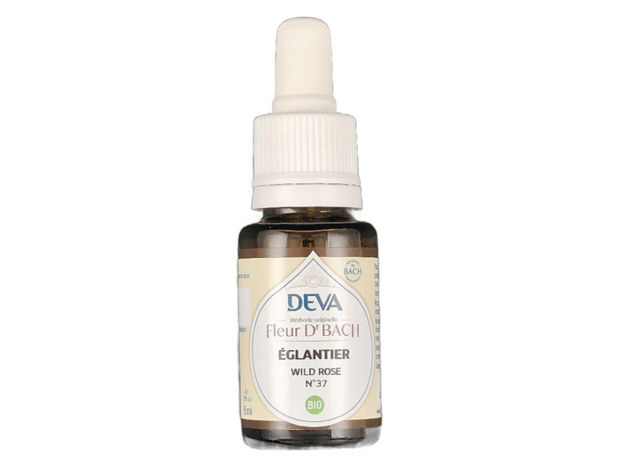 Eglantier n°37 15ml