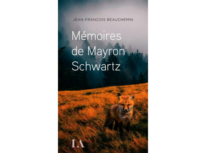 MEMOIRES DE MAYRON SCHWARTZ