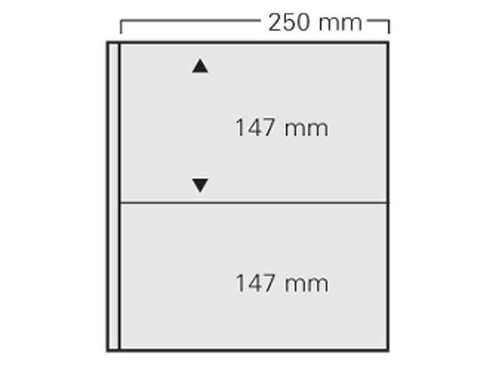 FEUILLES DE 2 BANDES FOND BLANC 722 (safe)