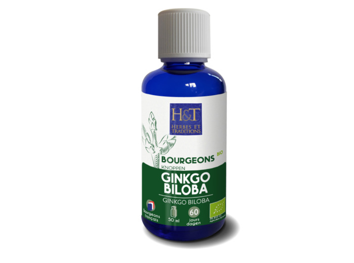 Bourgeon de Ginkgo Biloba bio-50ml-Herbes et Traditions