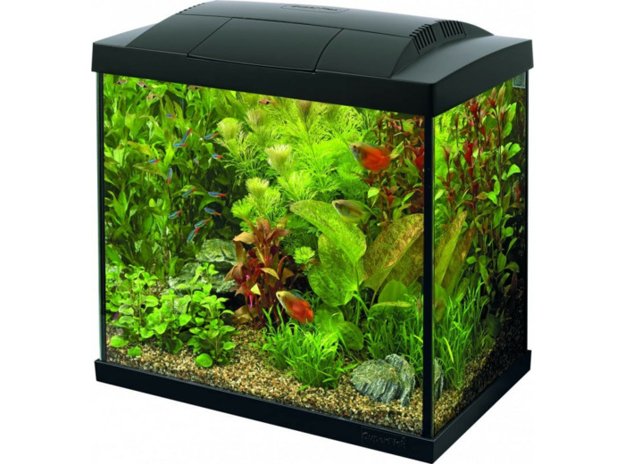 Aquarium Superfish Start 50 - 44.2 x 26.7 x 37.4 cm