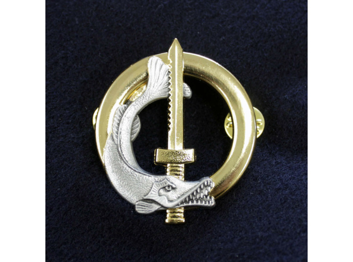 Plongeur de combat du Génie