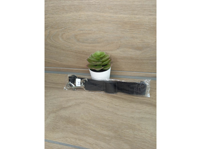 Ceinture de sécurité pour chiens