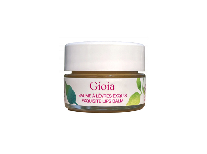 Gioia Baume à lèvres exquis 6g
