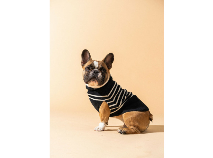 Le Toutoupull SAINT JAMES  pull pour chien