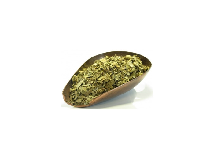 Alchémille vulgaire plante BIO 100g