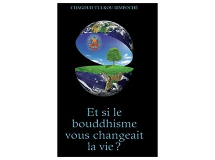 Et si le bouddhisme vous changeait la vie ?