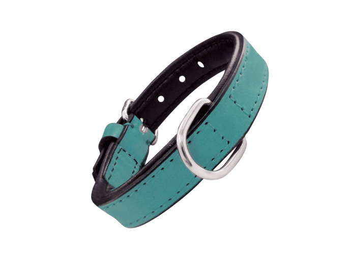 Collier en cuir, TURQUOISE pour chiens - 5 tailles différentes