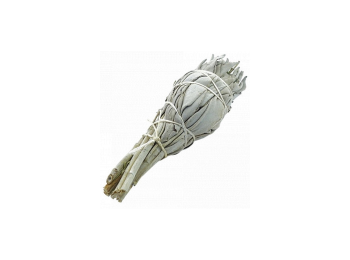 Sauge blanche à brûler torche 25g