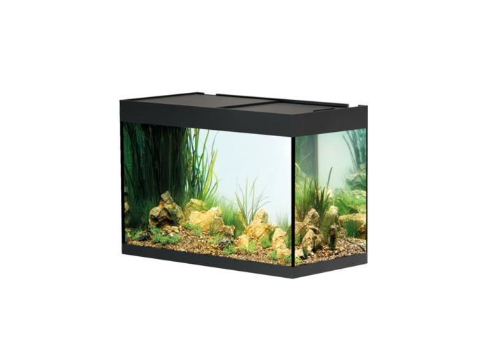 Aquarium Styleline 175 (noir) - 80 x 40 x 55 cm