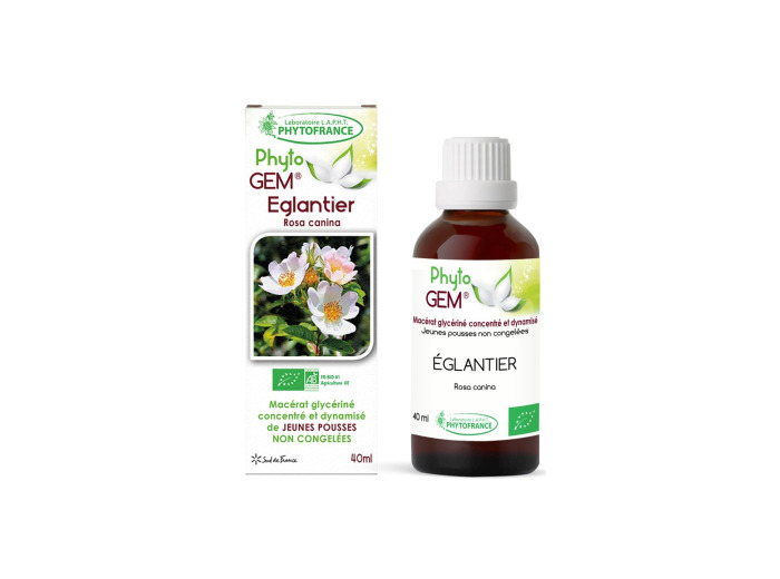 Gemmo Eglantier 40ml