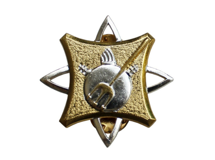 Brevet Plongeur Démineur