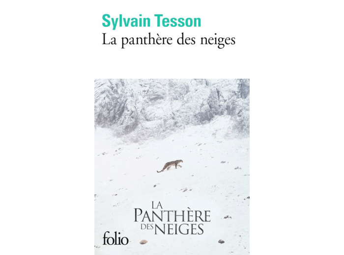 LA PANTHERE DES NEIGES