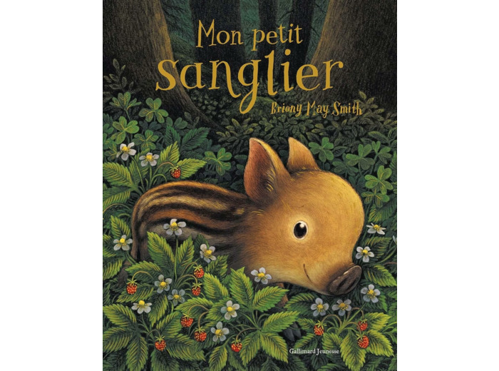 MON PETIT SANGLIER