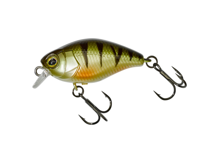 micro chubby 30 perch illex