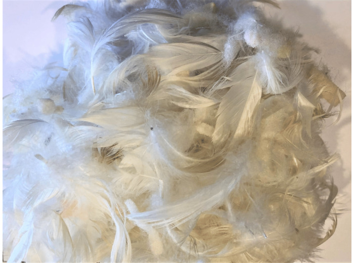 60/20/20 mélanges dynamic plumes spaghétti flotex 2kg T60/20/202KG