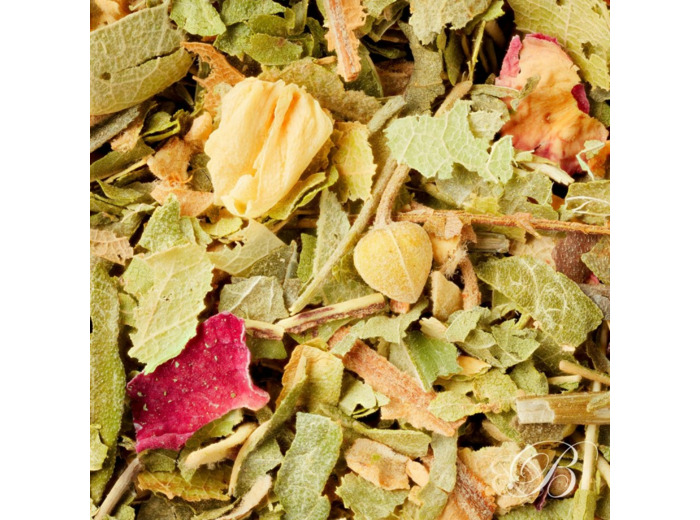 Tisane des Invités