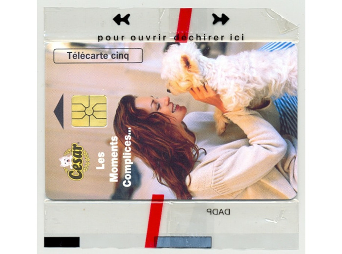 TELECARTE NSB 5 UNITE 12/97 CESAR PROFIL GN419