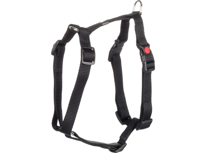 Harnais en H - Gris foncé - S