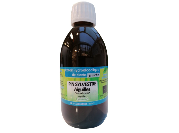 Aiguilles de Pin Sylvestre extrait hydroalcoolique bio-250ml-Phytofrance