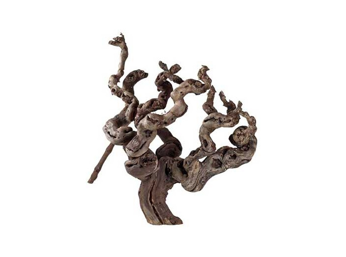 Racine de vigne sablée 100% naturelle - 30cm environ