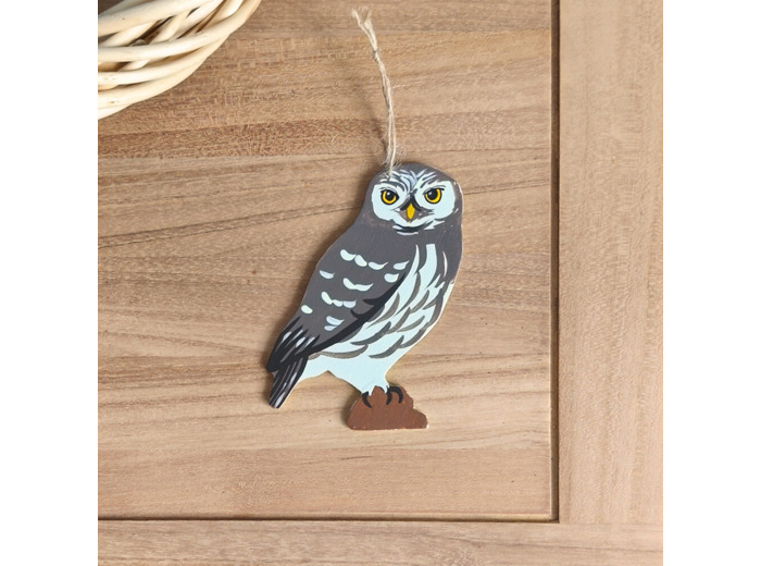 Chouette chevêche d'Athéna